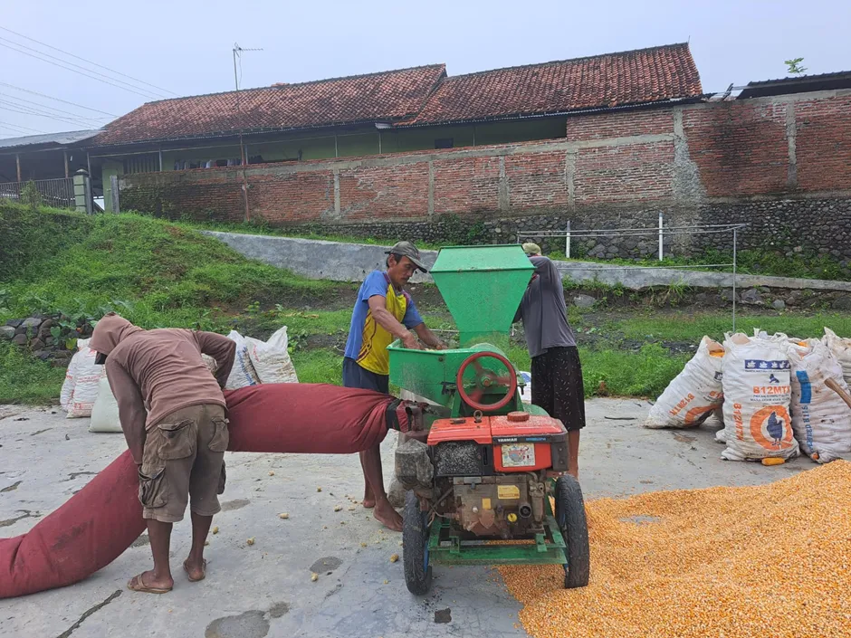 BISNIS JASA PERONTOK BAGAL  JAGUNG, LUMAYAN