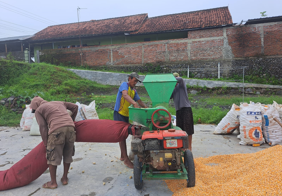BISNIS JASA PERONTOK BAGAL  JAGUNG, LUMAYAN